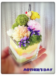 androidapp/4907140511183509-1435701036.png