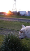 110406_1747~020001.jpg