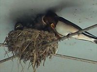 IMG_20130623_064401_R.jpg