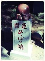 S__1703938small.jpg