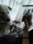 100707_1231~01.jpg