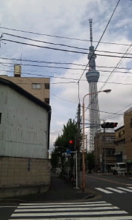 110730_1141~010001.jpg